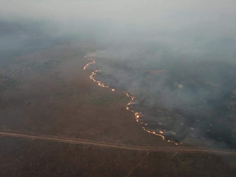 Os interesses econômicos por trás da destruição da Amazônia