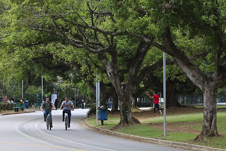 Reabertura de parques é precipitada, mesmo com restrições, avalia especialista